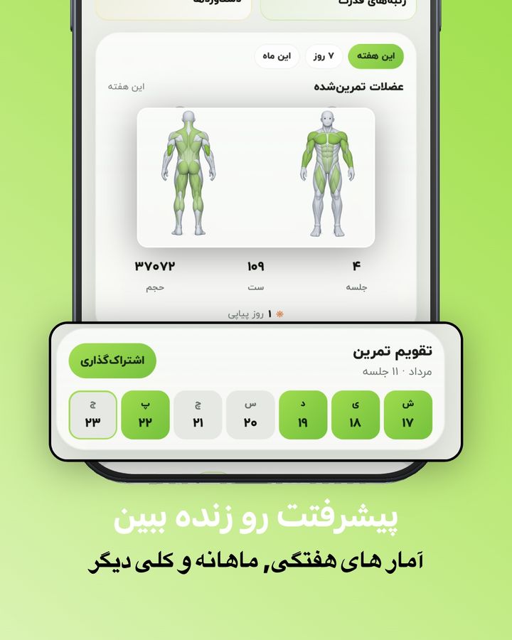 نمودار پیشرفت جیم فا: عضلات تمرینشده، تقویم مرداد و آمار حجم و ست